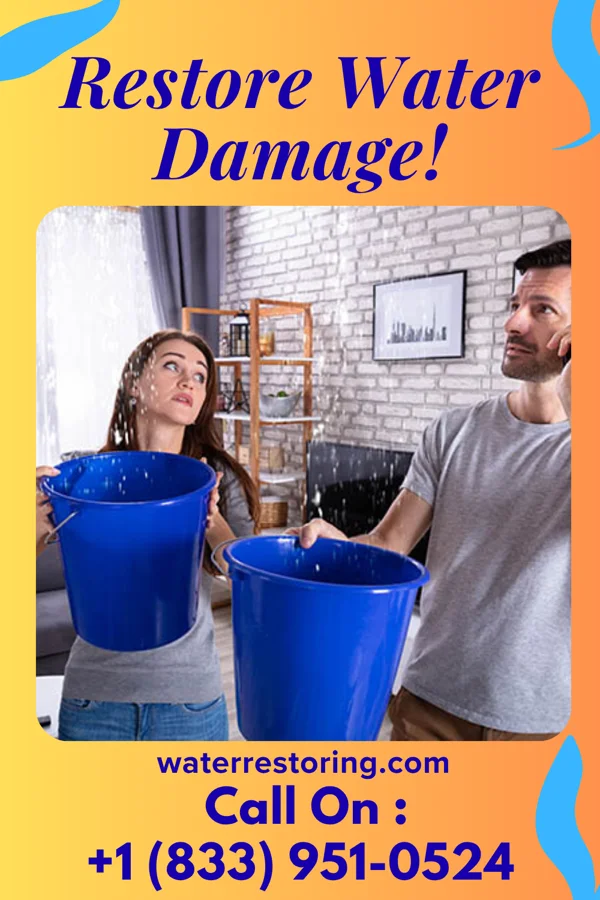 water restoration Pacific Water Damage Partners Andalusia