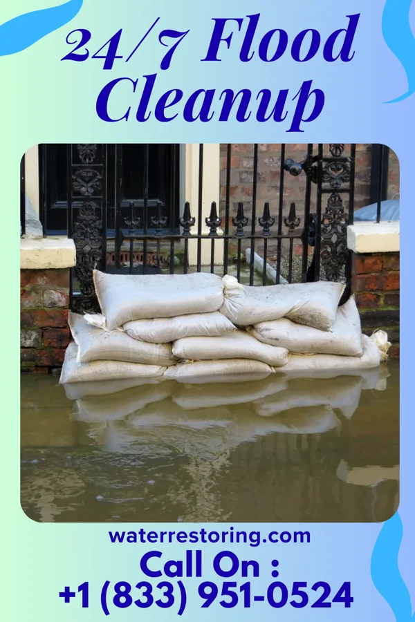 24/7 Flood Cleanup in Andalusia, AL