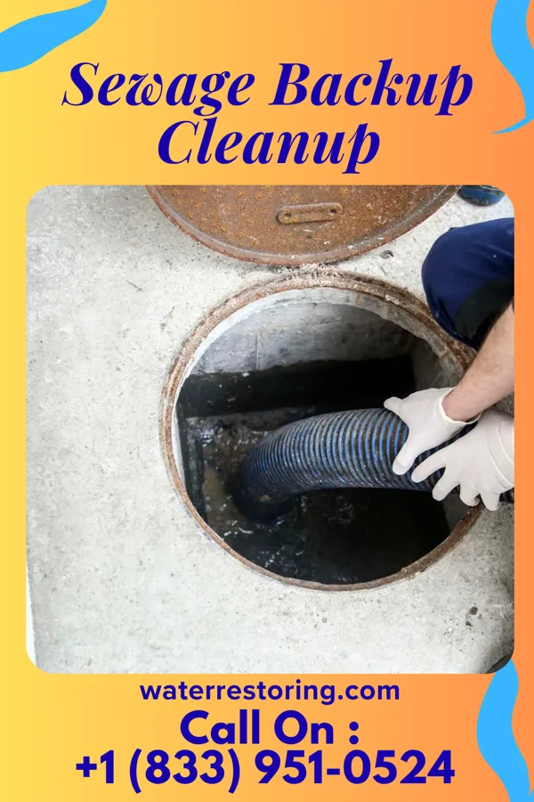 Sewage Backup Cleanup in Andalusia, AL